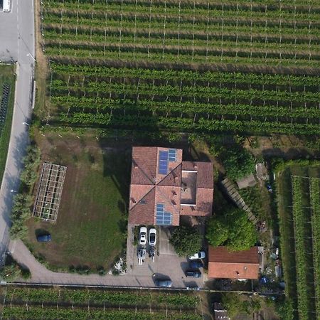 Agritur Stefenelli Guest House Torbole Sul Garda Eksteriør bilde