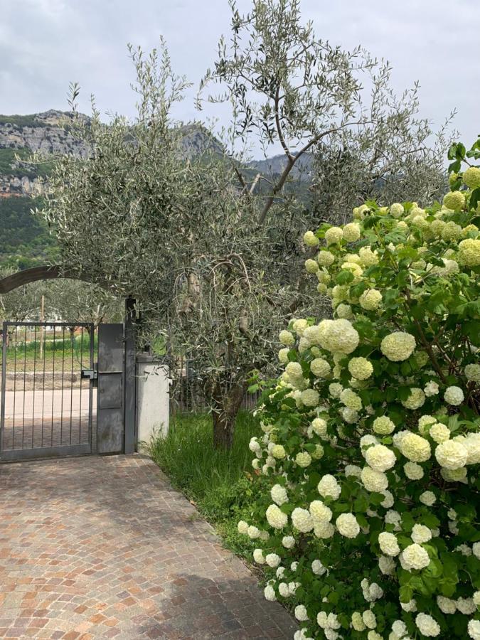 Agritur Stefenelli Guest House Torbole Sul Garda Eksteriør bilde