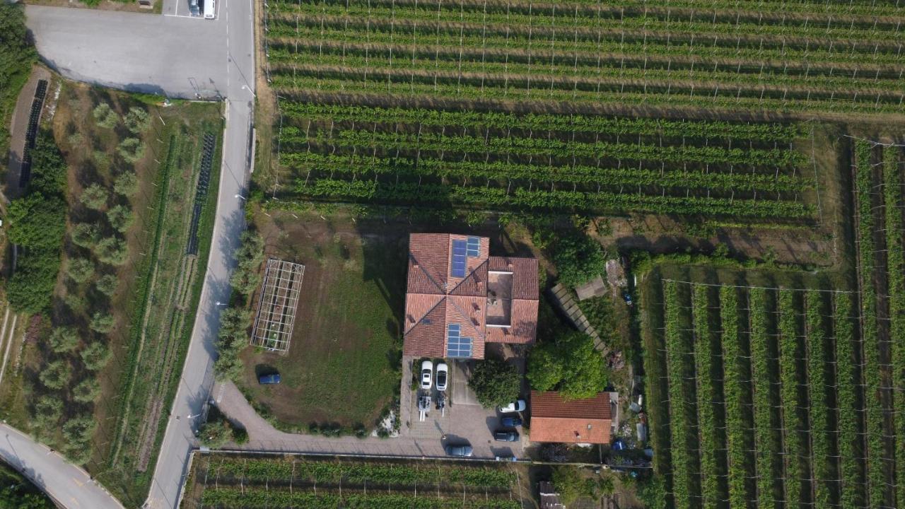 Agritur Stefenelli Guest House Torbole Sul Garda Eksteriør bilde